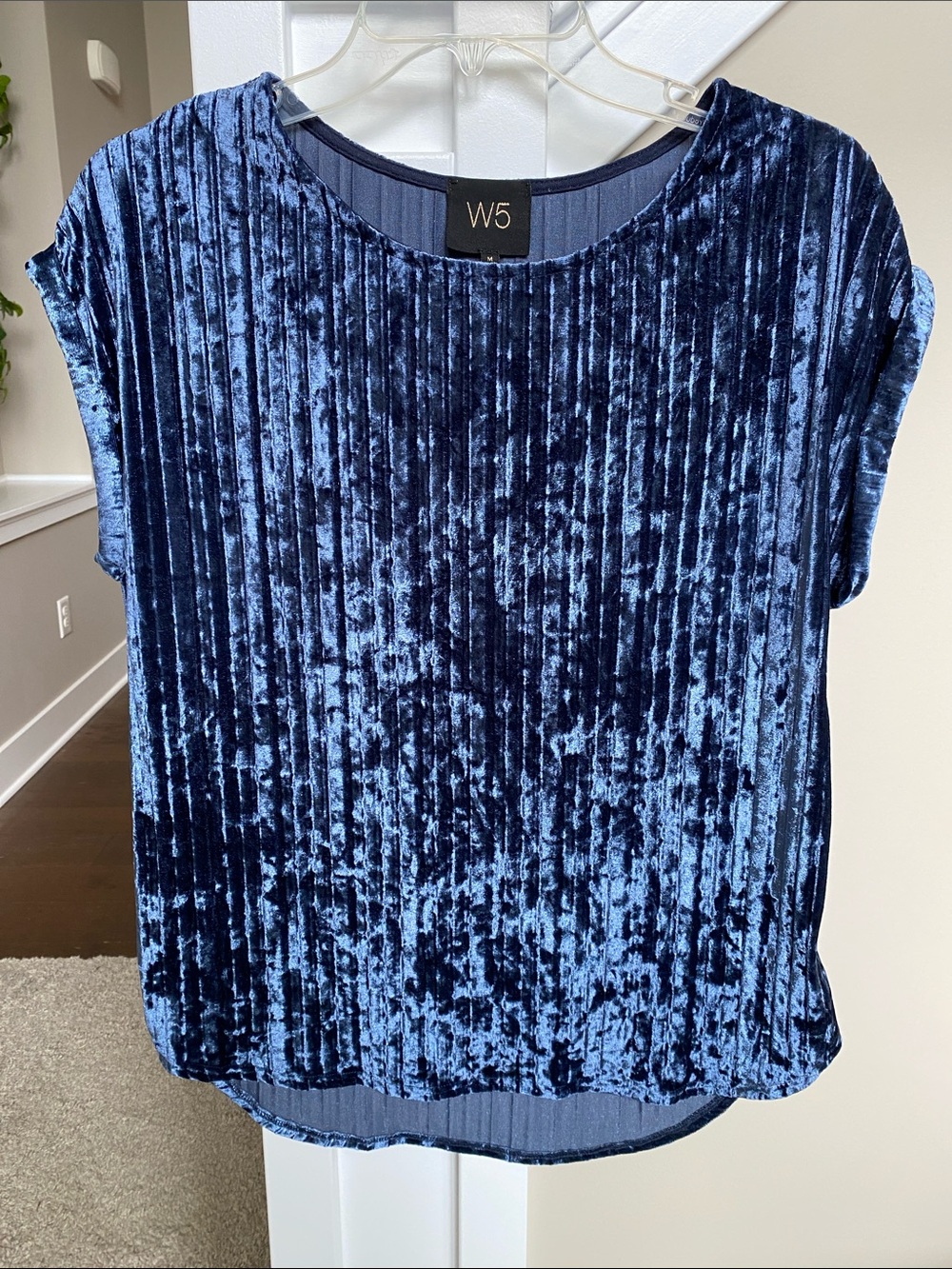 W5 Blue Crushed Velvet Short Sleeve Blouse